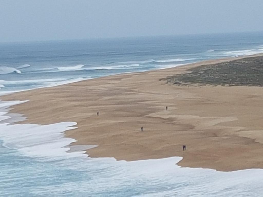 O Paraiso No Terraco Foz do Arelho Exteriör bild